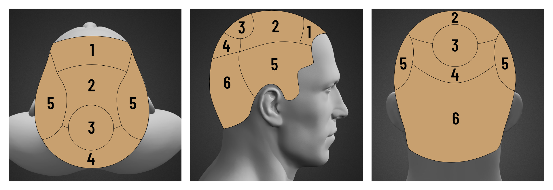 heads.jpg